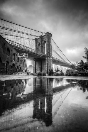 Reflections in Brooklyn